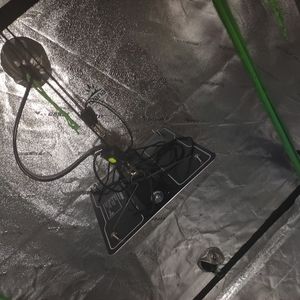 Grow tent